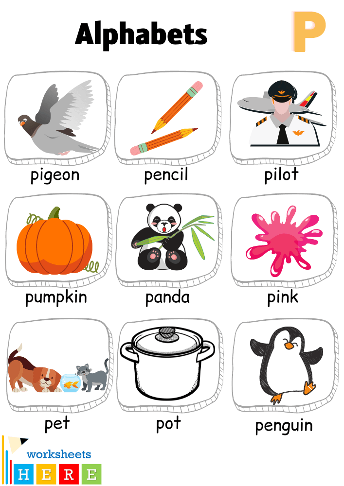Alphabet P Words with Pictures, Letter P Vocabulary with Pictures