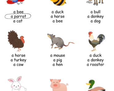 Circle Correct Domestic Animals Names Activity For Kids, Finding Animals Names Worksheet