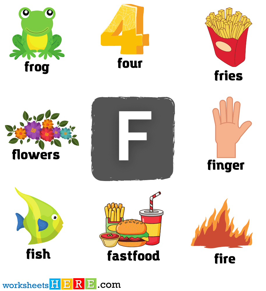 Start with Letter F Words with Pictures, Alphabets F Vocabulary with Pictures