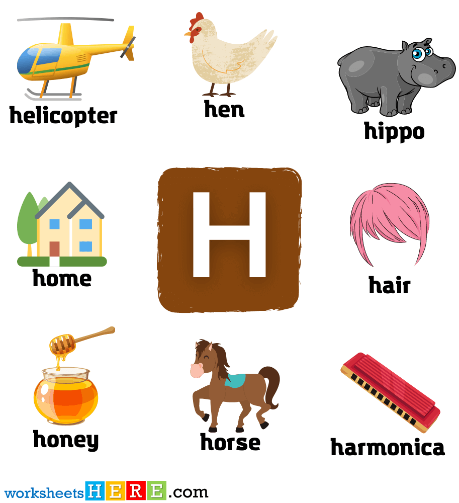 Start with Letter H Words with Pictures, Alphabets H Vocabulary with Pictures