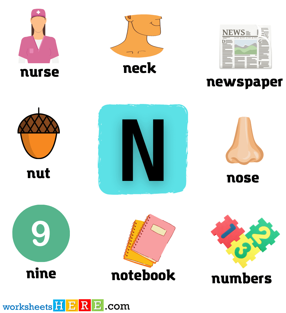 Start with Letter N Words with Pictures, Alphabets N Vocabulary with Pictures
