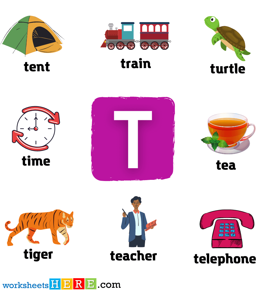 Start with Letter T Words with Pictures, Alphabets T Vocabulary with Pictures