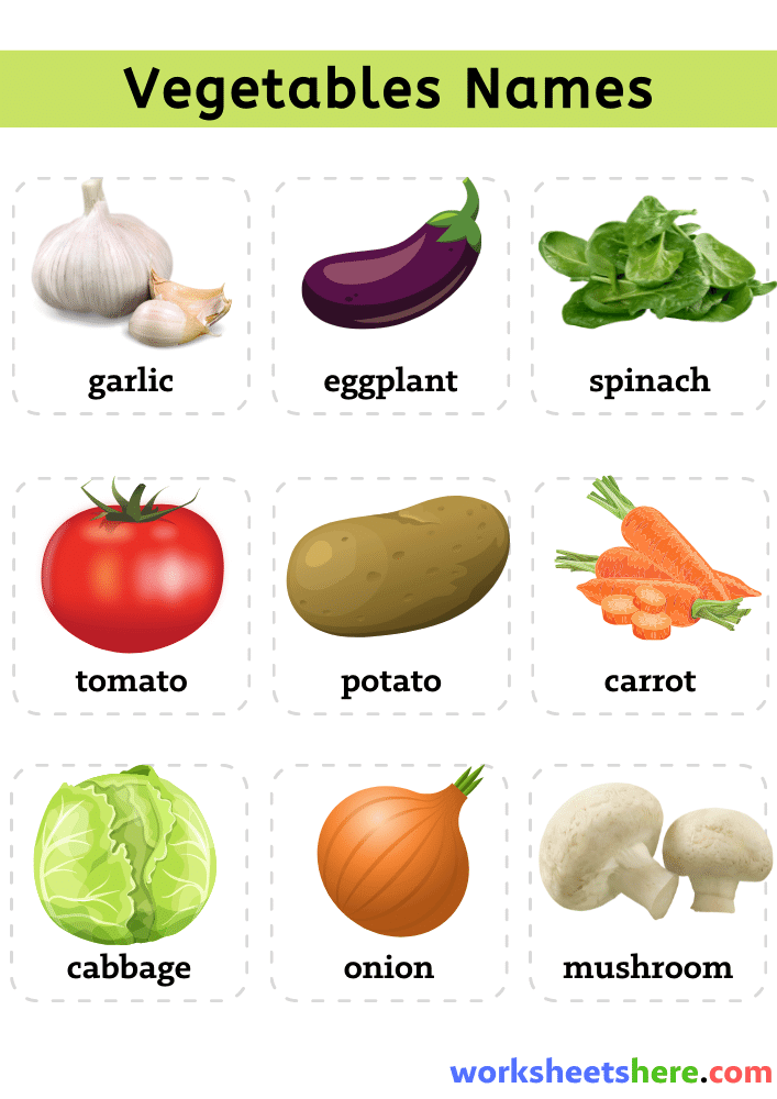 Vegetables Names List with Pictures, +50 Vegetables Names List From A to Z