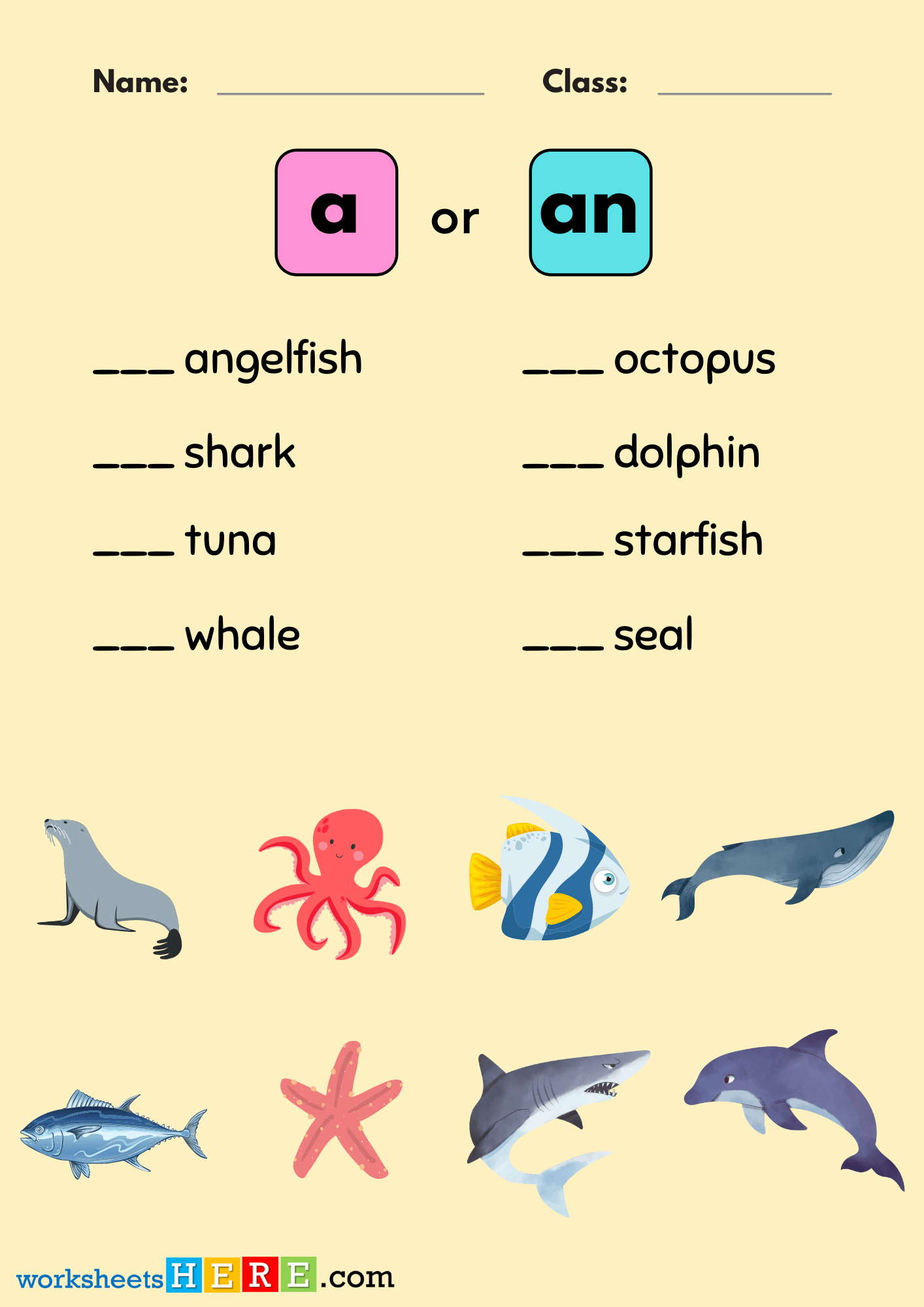 A and An Articles Pdf Worksheets with Sea Animals Pictures, Find Correct Articles and Write It