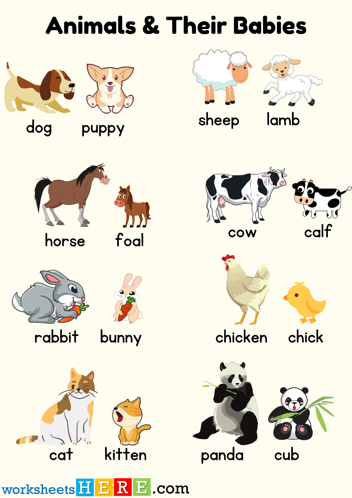 Animals and Their Babies Names with Pictures PDF Worksheet For Students
