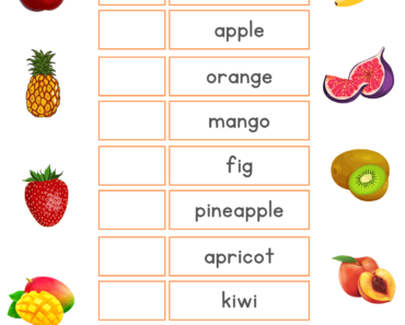 Articles Exercises with Fruits Names and Pictures, A or An PDF Worksheets For Students