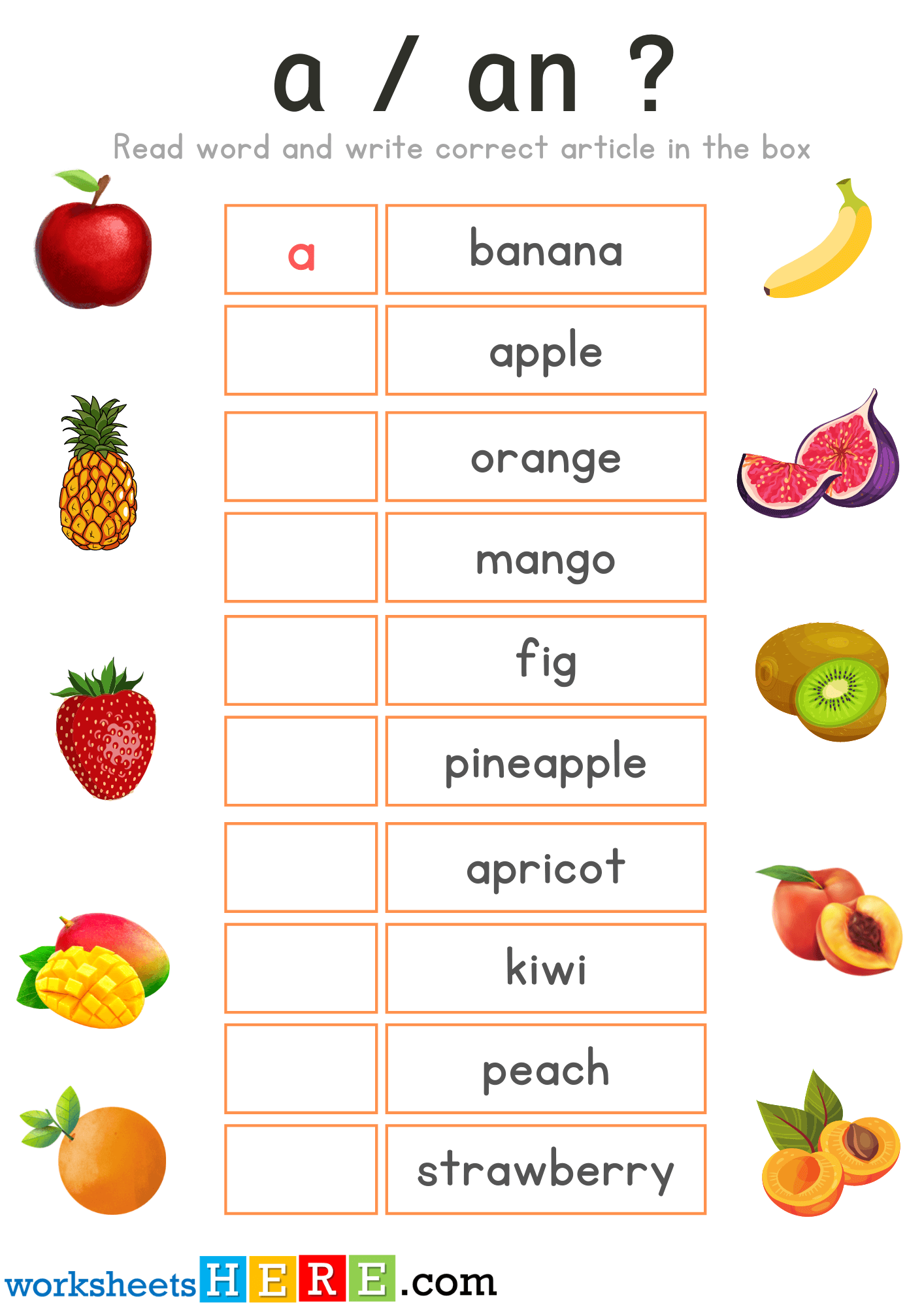 Articles Exercises with Fruits Names and Pictures, A or An PDF Worksheets For Students
