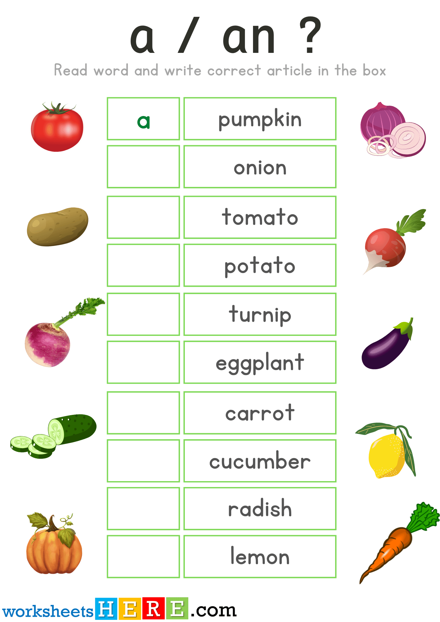 Articles Exercises with Vegetables Pictures, A or An PDF Worksheets For Students