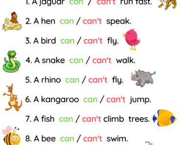 Can or Can’t Exercises with Pictures and Answers Examples PDF Worksheet For Kids