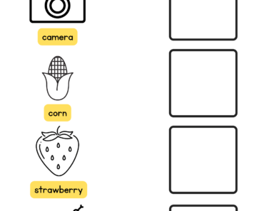 Copy All the Objects Below, Drawing Camera Corn Strawberry Snake Examples Worksheet For Kids
