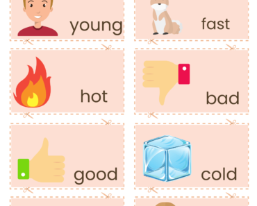 Cut and Match Opposite Words with Pictures PDF Worksheets For Students