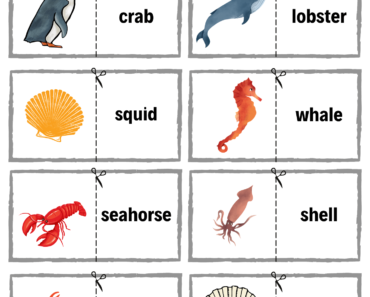 Cut and Match Sea Water Animal Words with Pictures Activity Worksheets For Kids