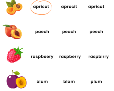 Find Correct Word Activity with Fruits Pictures PDF Worksheet For Students
