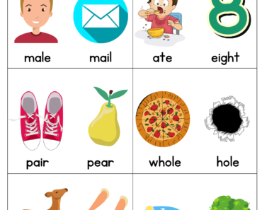 Homophones With Pictures, 100 Homophones Words Worksheets For Students and Kids