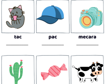 Letter C Scramble Words Find Pdf Worksheets with Pictures, Unscramble Words with Answers