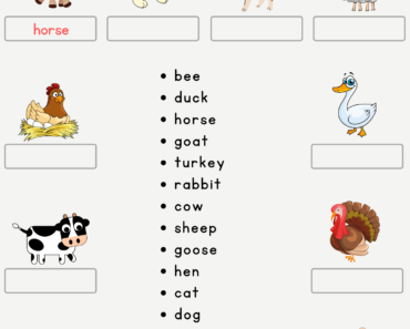 Look at The Picture and Write Correct Farm Animals Names PDF Worksheet For Kids