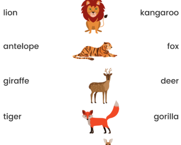 Match Forest Animals Names Pictures and Names Activity PDF Worksheets For Kids