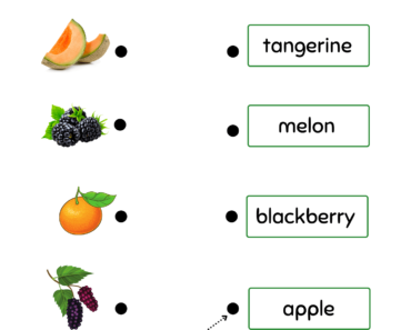 Match The Name with Fruit Pictures PDF Worksheets For Kindergarten and Kids