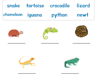 Matching Correct Words With Reptiles Animals Pictures PDF Worksheets For Kindergarten