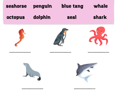 Matching Correct Words With Sea Animals Pictures PDF Worksheets For Students
