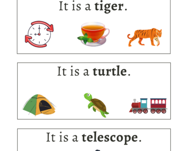 Read Sentences and Circle Objects Starting Letter T Activity Worksheets For Kids