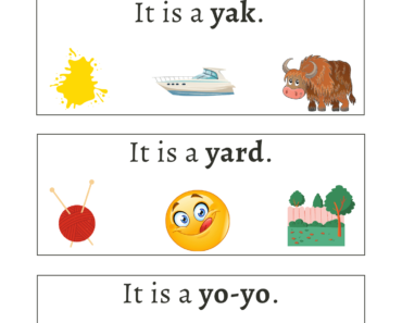 Read Sentences and Circle Objects Starting Letter Y Activity Worksheets For Kids