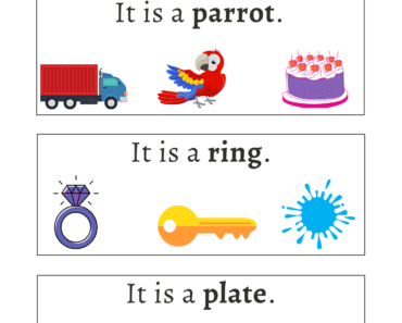 Read Sentences and Circle Parrot, Ring, Plate Activity Worksheets For Kids