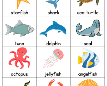 48 Sea Animals Names with Pictures Flashcards PDF Worksheets For Students