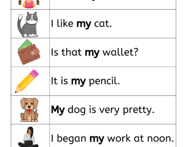 Sentences with MY, Example Sentences with My For Kids Worksheet