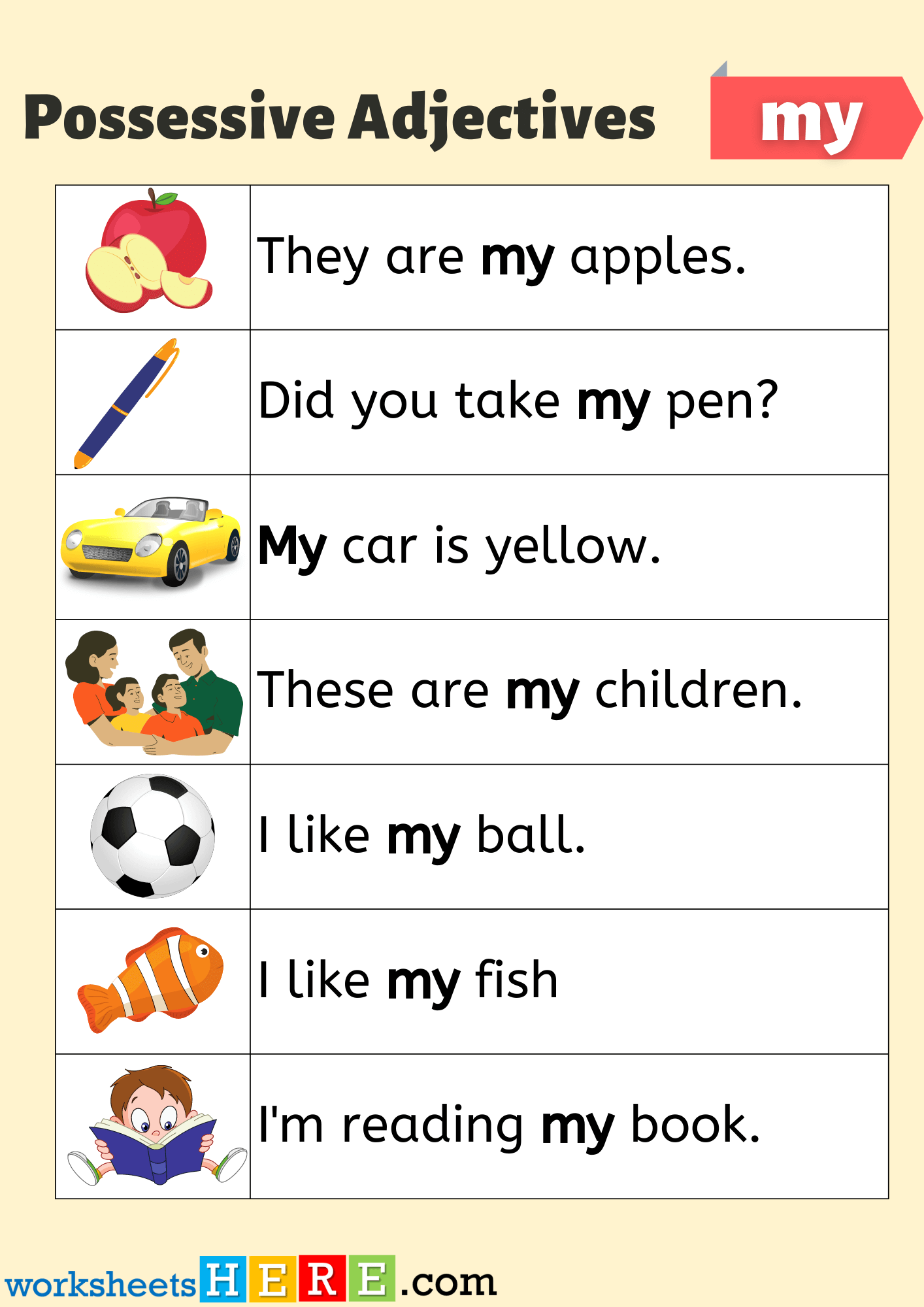 Sentences with MY, Example Sentences with Possessive Adjective MY For Students Worksheet