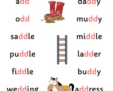 Spelling Phonics ‘dd’ Sounds PDF Worksheet For Kids and Students