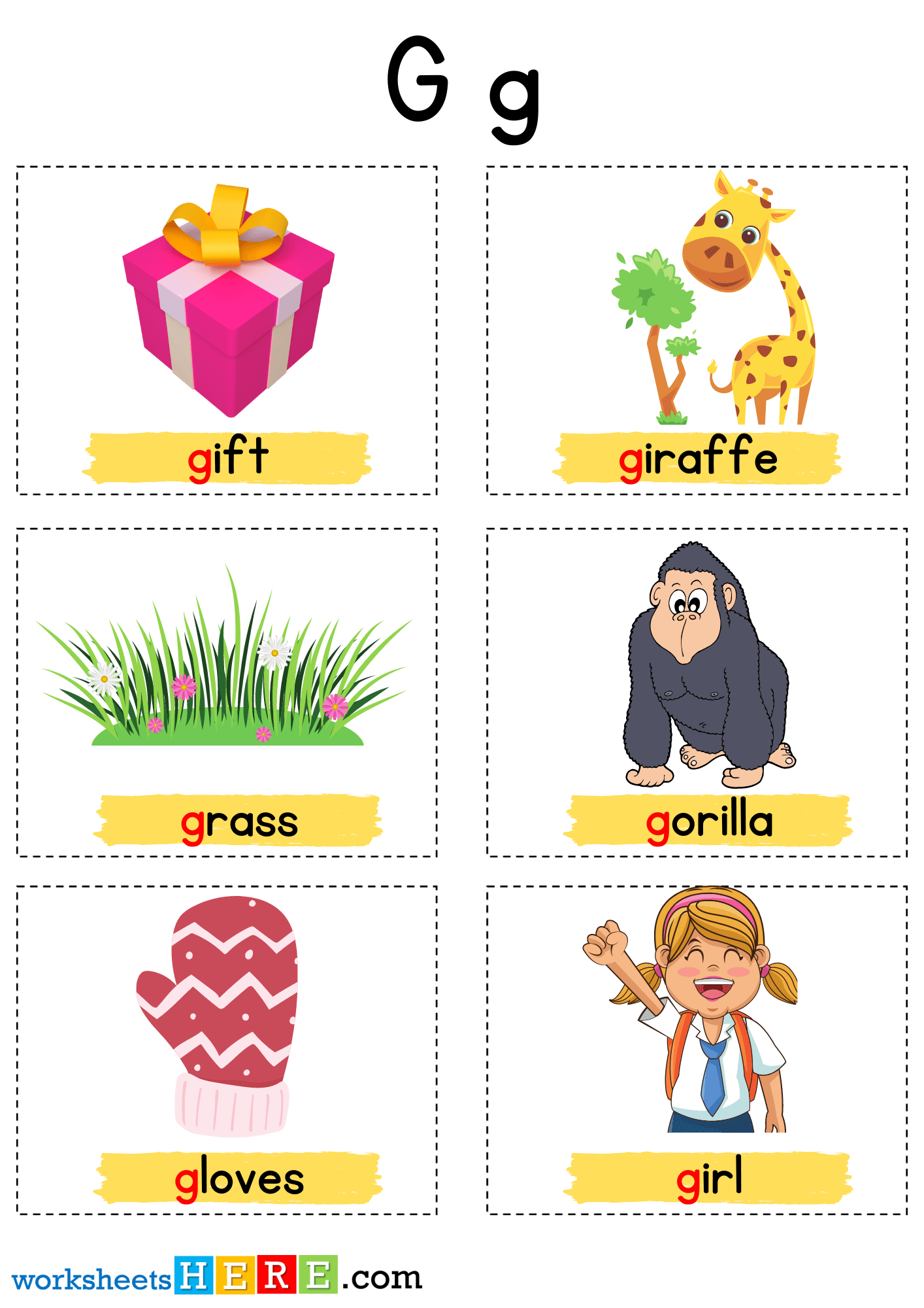 Things That Start With G Letter with Pictures, Alphabet G Words Examples