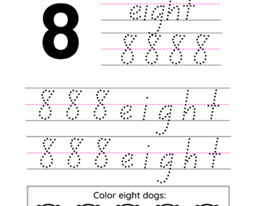 Trace the Number 8 and Word Activity For PDF Worksheet For Kindergarten