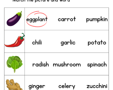 Vegetables Names Match with Pictures Activity PDF Worksheet For Kids