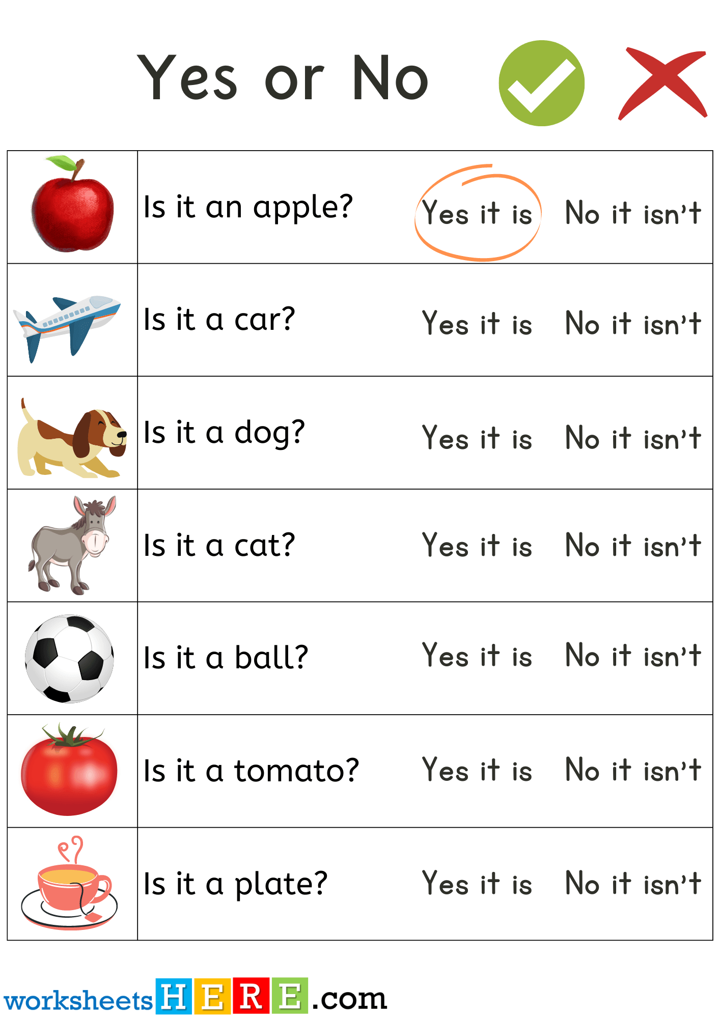 Yes or No Question Answers, Read and Circle Correct Answer with Objects Pictures PDF Worksheet