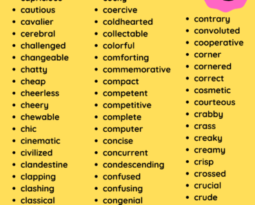 Adjectives That Start With C Vocabulary List PDF Worksheet For Students