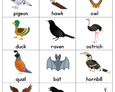 Birds Names with Pictures, Birds Flashcards PDF Worksheets For Kindergarten
