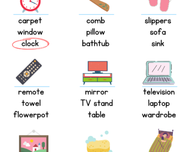 Circle Correct Word Activity PDF Worksheet For Kindergarten