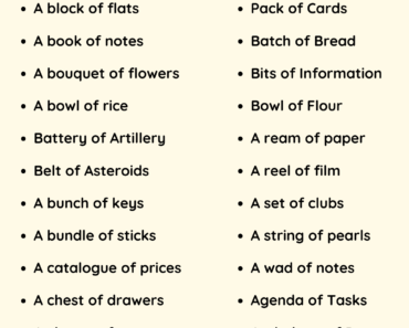 Collective Nouns For Things Vocabulary List For Kids and Students