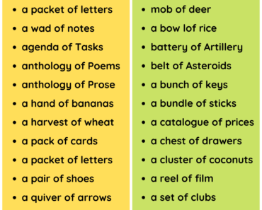 Collective Nouns List PDF Worksheet For Students and Kids