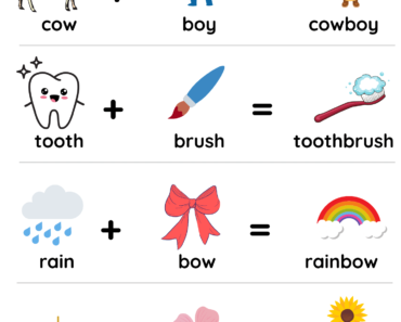 Compound Nouns List with Pictures PDF Exercises Worksheet For Kindergarten