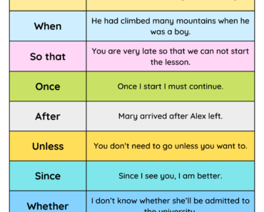 Connectors and Example Sentences PDF Worksheet For Students and Kids