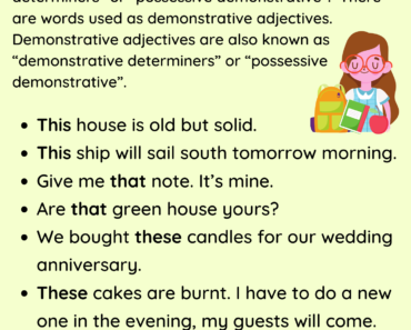 Descriptive Adjectives Definition and Example Sentences PDF Worksheet For Students