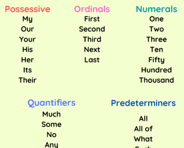 Determiners, Definition and Example Sentences PDF Worksheet For Students