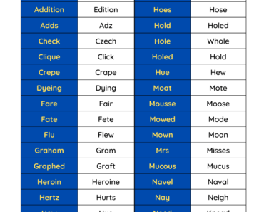 Homonyms Words List in English PDF Worksheet For Students and Kids