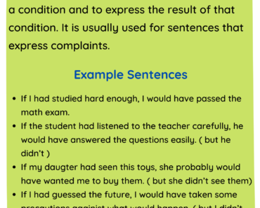 If Clauses Type 3 Third Type Definition and Example Sentences PDF Worksheet For Students