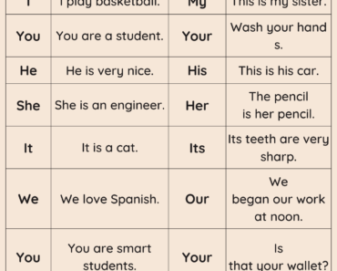Possessives, Definition and Example Sentences with PDF Worksheet