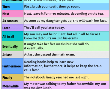 Sequence Connectors List and Example Sentences PDF Worksheet For Students