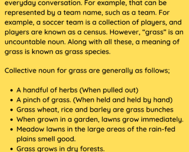Collective Noun For Grass, Definition and Examples PDF Worksheet For Students