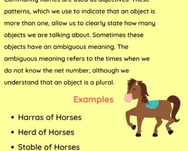 Collective Noun For Horse Definition and Examples PDF Worksheet For Students